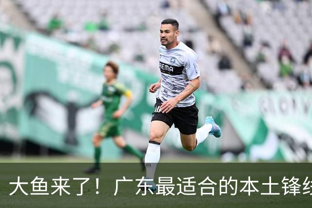 大鱼来了！广东最适合的本土锋线曝光，朱芳雨可能完成“2换1”？