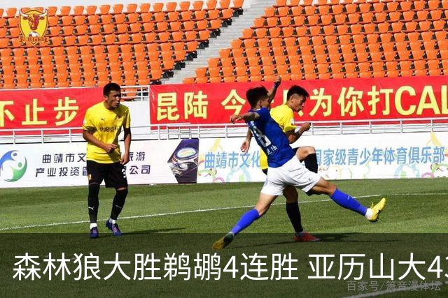 森林狼大胜鹈鹕4连胜 亚历山大43分雷霆克骑士